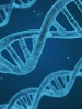 Rajeunissement : des chercheurs font une découverte sensationnelle 